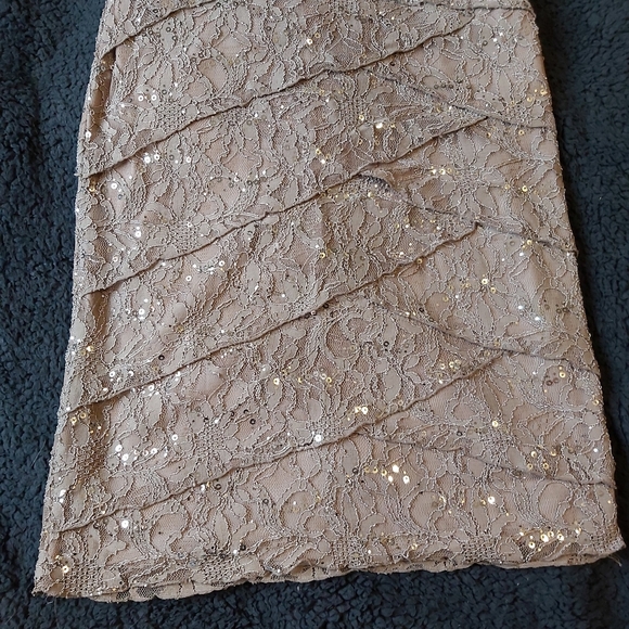 EUC Lace and Sequin Dress - Picture 5 of 9
